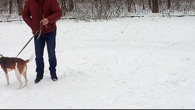Младшая группа смотреть онлайн