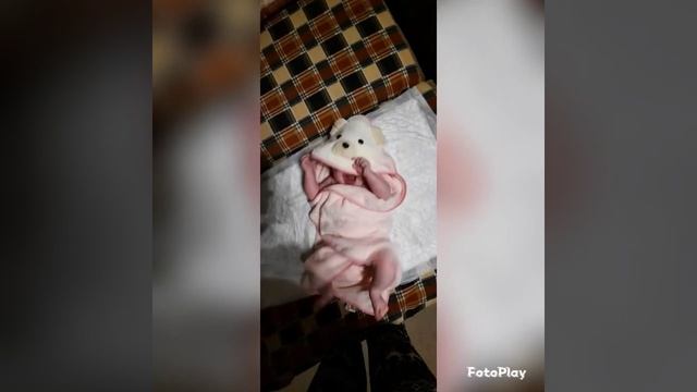 Полине 8 месяцев смотреть онлайн