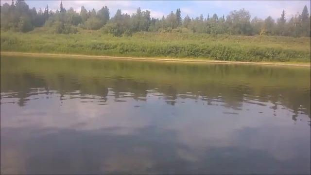 ЛЕТО 2016 / ДЕРЕВНЯ ВИНЛА / СОСНОГОРСКИЙ РАЙОН смотреть онлайн