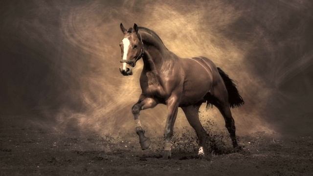 Поход в лес на дальний хутор Сказки всего мира смотреть онлайн