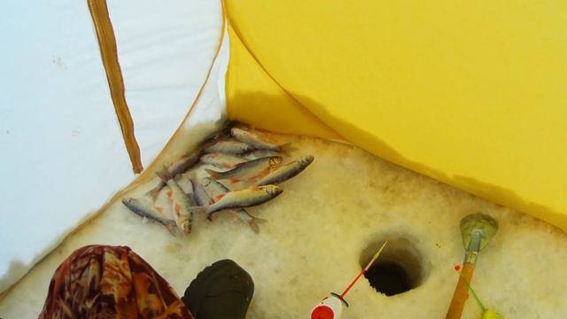 Выходные на речке/Зимняя Рыбалка в палатке/Горбуново смотреть онлайн