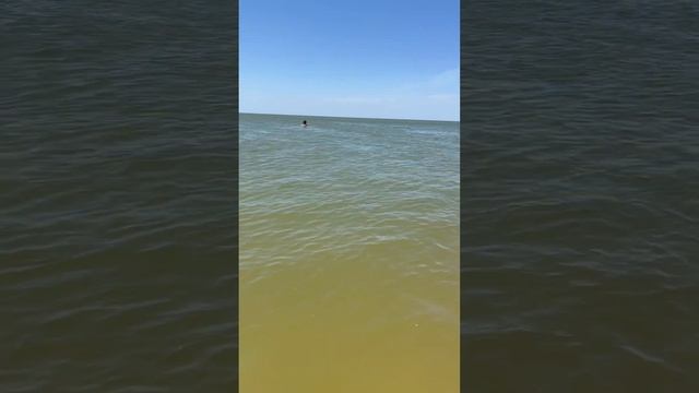 Нашествие медуз,Должанская коса.19 июня 2023 смотреть онлайн