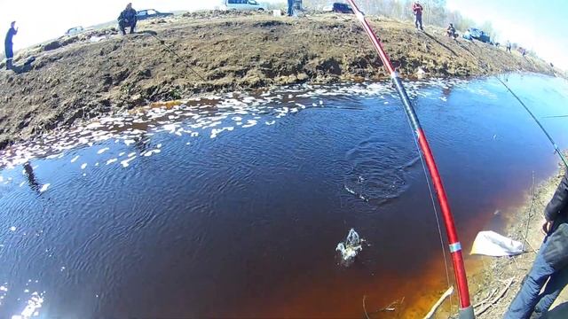 рыбалка на карася, маленькая речка где то в СИБИРИ смотреть онлайн