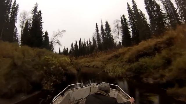 Подъем по северной речушке. Приток реки Печора. смотреть онлайн