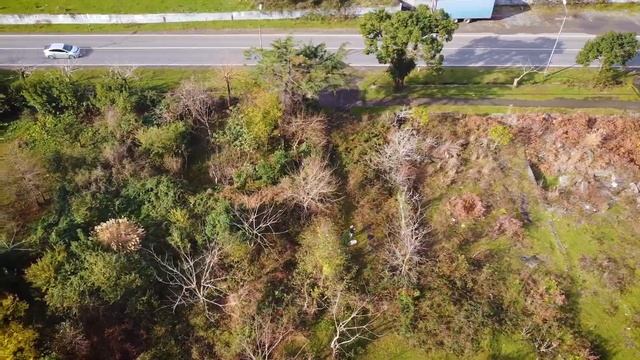 Чакви – самый уютный и развивающийся курорт Грузии. Русскоязычная школа. смотреть онлайн