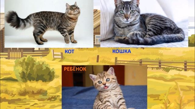 Домашние животные Мамы, папы и их дети Развивающее видео для детей смотреть онлайн