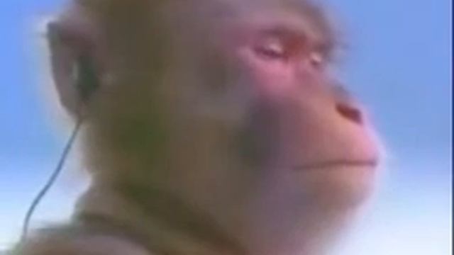 ну типо я такая типо ну там ну короче ну типо там ну смотреть онлайн