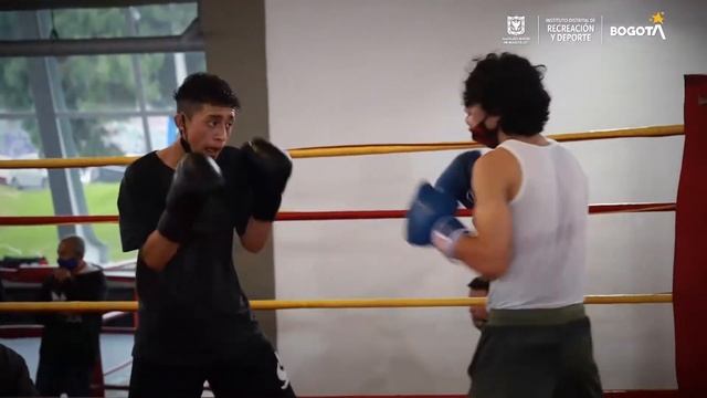 Así entrenan los jóvenes boxeadores para convertirse en grandes deportistas ? смотреть онлайн
