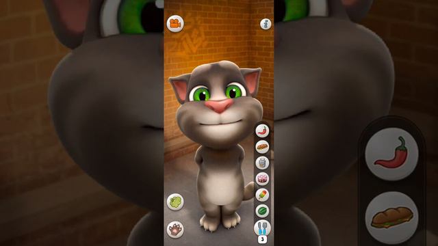 TALKING TOM CAT GAMEPLAY IOS ANDROID