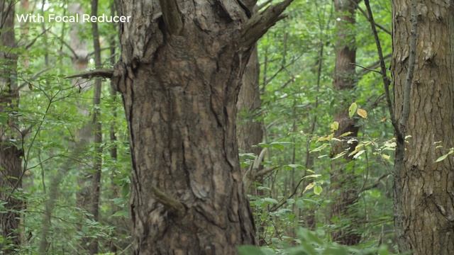 Cheap Speed Booster смотреть онлайн