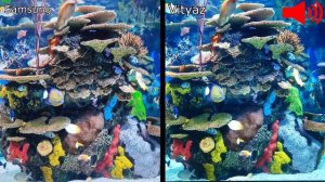 Самый дешевый 4K-телевизор — обзор! / 65 диагональ за 30 т.р.! / Телевизор Витязь 65LU1204 Smart