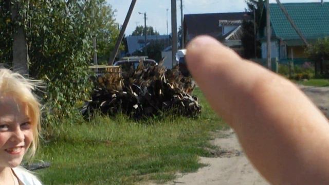 24 часа с джек рассел терьером челенж. 1 часть смотреть онлайн