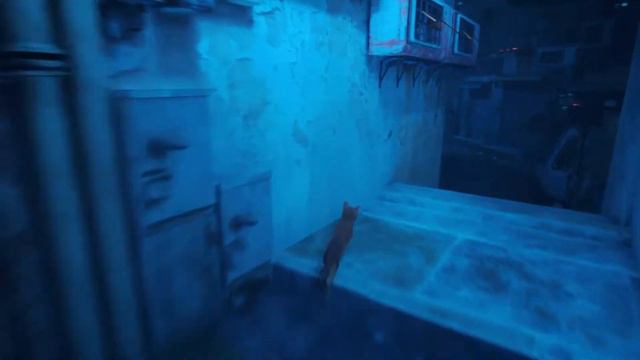 Stray погоня Зурков за Котейкой. Идеальный побег - Не попался ни разу для ачивки Кота не догонишь