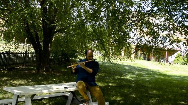 Saroja Flute Cover смотреть онлайн