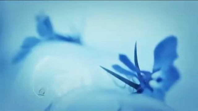 Хибуким(Объятия)..Мелодекламация на стихи Бориса Рудина смотреть онлайн