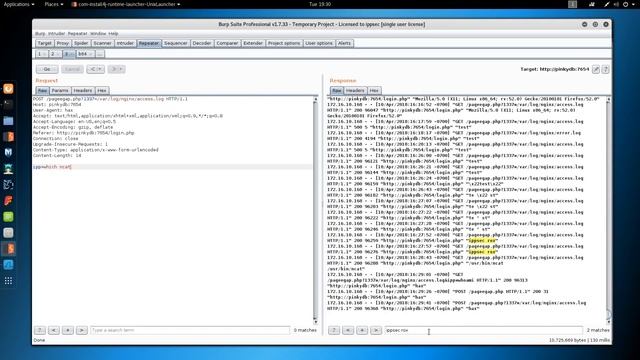 VulnHub - Pinkys Palace v2 смотреть онлайн