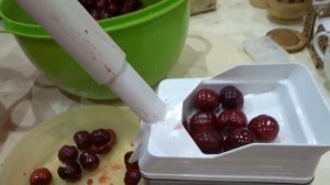 +ЧЕРЕШНЯ ВАСИЛИСА ОТ РЫЖЕВСКИХ