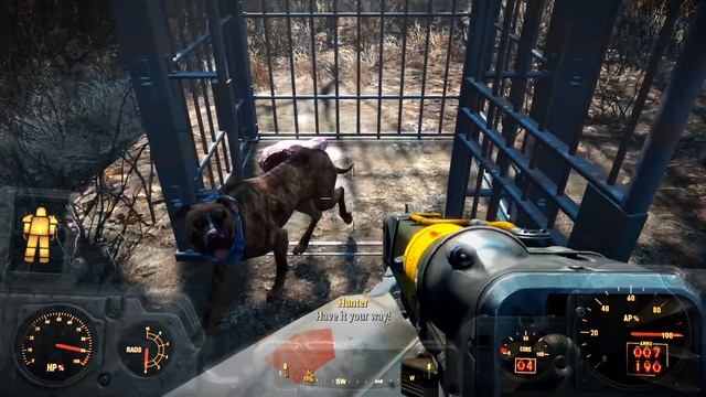 How To Find Blue Bandana for Dogmeat in Fallout 4 | How To Tutorial смотреть онлайн