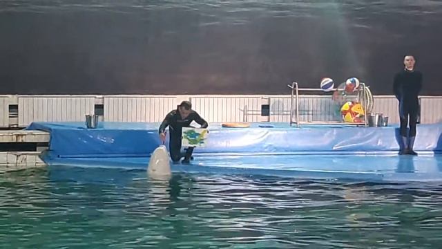 Белуга рисует картину смотреть онлайн