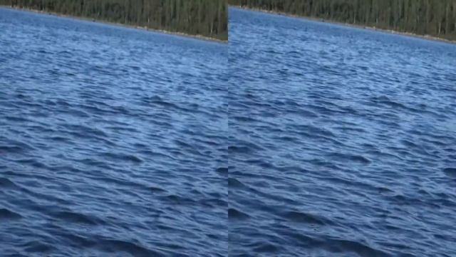 3д новый 02 смотреть онлайн