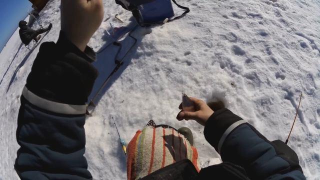 Орёл мороз и солнце смотреть онлайн