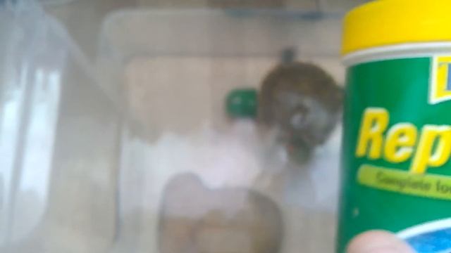 Обзор терморегулятора барбус на 25 Вт смотреть онлайн