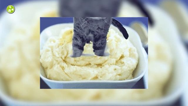 Why You Want an Immersion Blender | Different Stick Blender Uses! смотреть онлайн