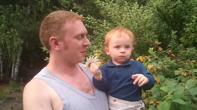 Рудя на даче кушает малинку смотреть онлайн