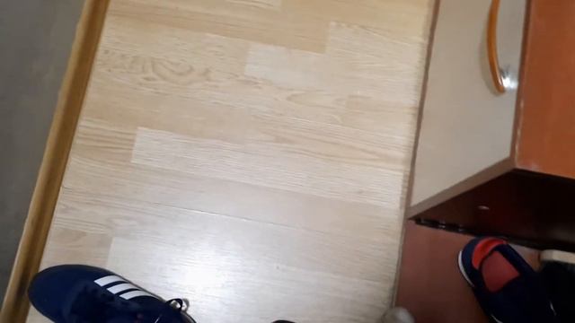 Жорик рад приходу, в любое время дня и ночи. Встречает ночью с работы. Мопс Жорик смотреть онлайн