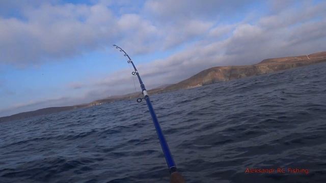 Рыбалка на терпуг троллинг 25 октября 2021г. смотреть онлайн