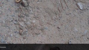 Замена наконечника рулевой тяги Шевроле Авео.