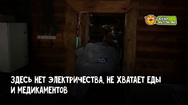 Руслан Хвостов и Карен Даллакян посетили мариупольский зоопарк • Зелёная альтернатива смотреть онлайн