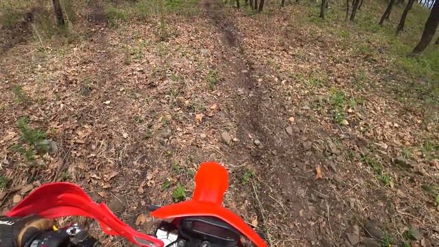 Китайские 250 эндуро на тропе КТМ, не всё так плохо как говорят... Джарвис Ленд ч1. Приморский кра смотреть онлайн