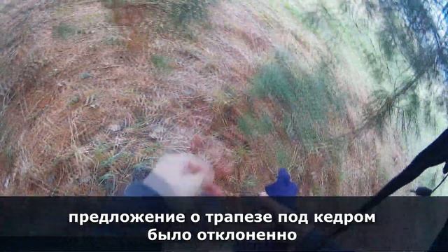 Сафроново-Аркашево 2019 смотреть онлайн
