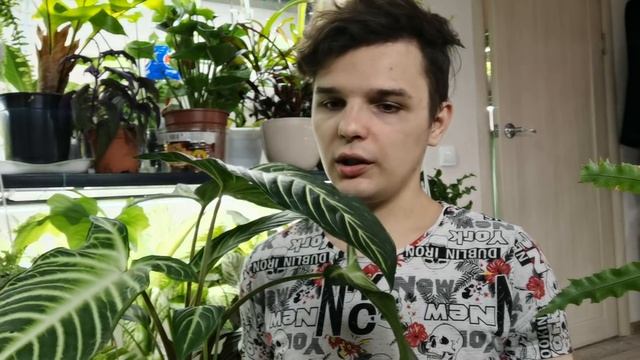 РЕДКИЕ НОВИНКИ/ ФИКУСЫ/ А на улице холодно... смотреть онлайн