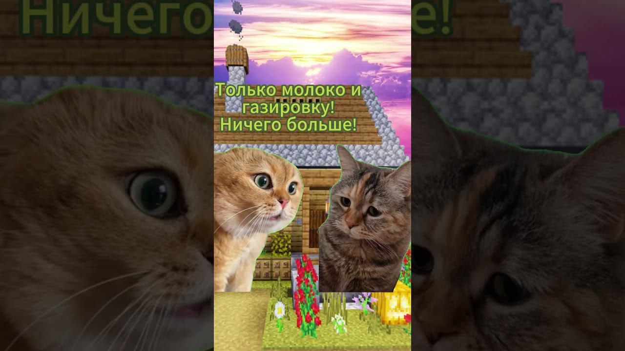 Смешной прикол с котиками #Shorts смотреть онлайн