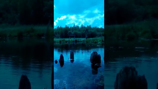 Гатчинская речка "Тёплая" - пионерпенсионер кормит уток ! ( ч.02 ) /13 : 55/ - 27.07.2018 г. смотреть онлайн