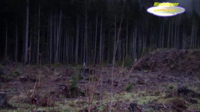 01.5 смотреть онлайн