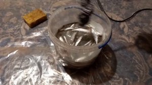 КАК БЫСТРО ПОЧИСТИТЬ УКЛЕЙКУ ОТ ЧЕШУИ? ЛАЙФХАК! Рыбалка на Южном Буге