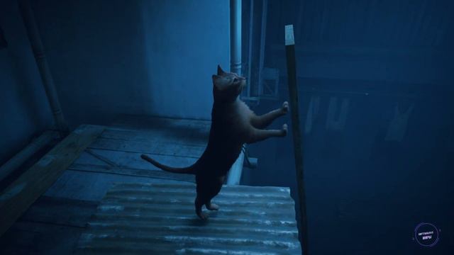 Stray прохождение игры, часть 1 смотреть онлайн