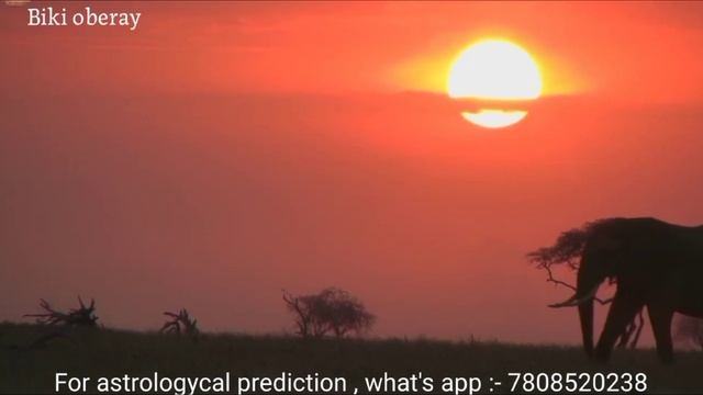 11 ज्योतिषिये सूत्र जो आपको जन्म समय सुधार में काम आएगा` || #astrology смотреть онлайн