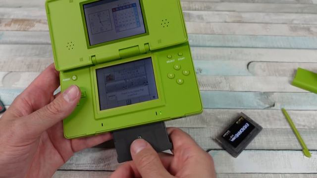 This Nintendo DS Shouldn't Exist!
