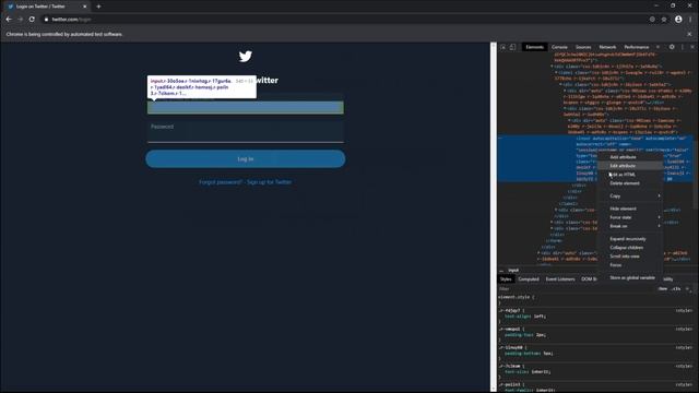 How to Create a Twitter Bot [Selenium With Python Tutorial] смотреть онлайн