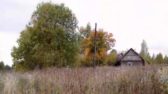 Быстротечная красота смотреть онлайн