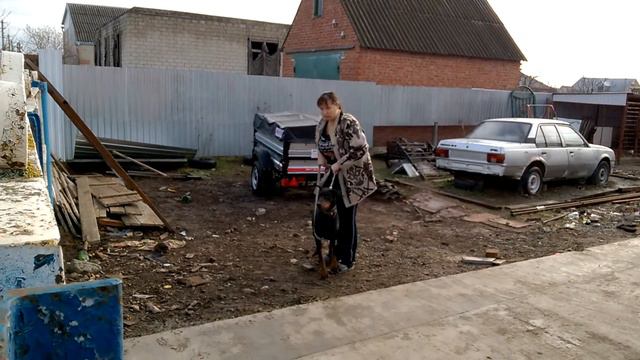 доберманы охрана двора смотреть онлайн