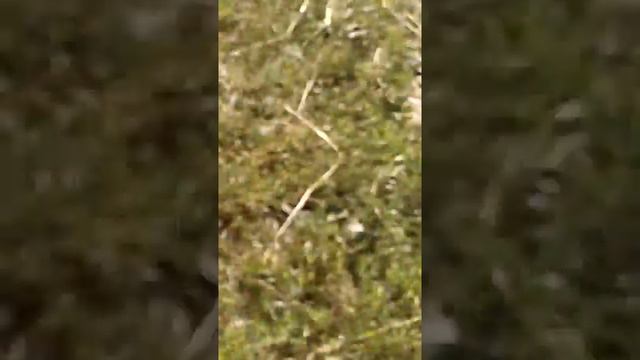 Дочь Натальи морская пехота смотреть онлайн