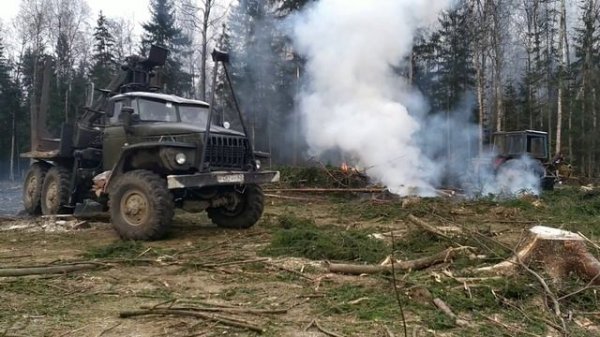 Валка леса, Трелёвка леса. Вот так нужно работать в лесу.  ,,, telling the forest,,, Walz week.