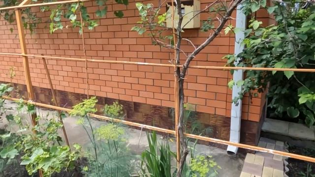 Красивый двор и шикарный участок Цена 7 500 000 г. Белореченск Краснодарский край