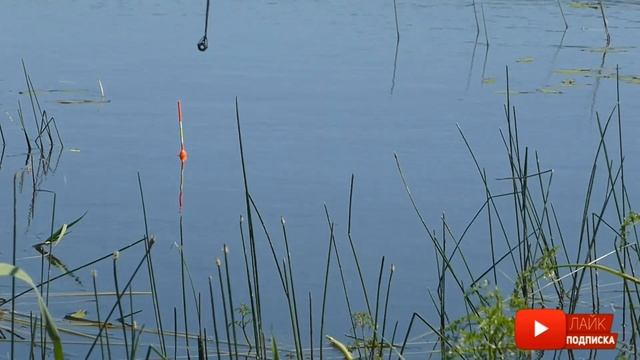 Ловля Карася!! Ротан [Интересная рыбалка!] смотреть онлайн