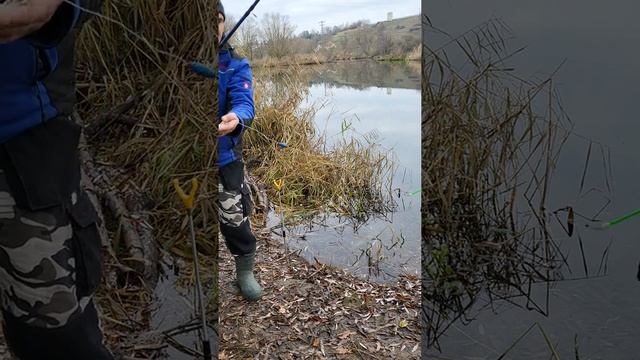 Монтаж на хищника. Рыбалка на малька с берега. ноябрь 2021.река Майн. смотреть онлайн
